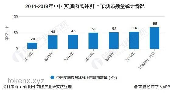 芦丁鸡宠物市场：新趋势、新挑战与未来展望