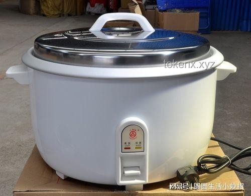 电饭煲的智能煮饭奥秘与工作原理探究